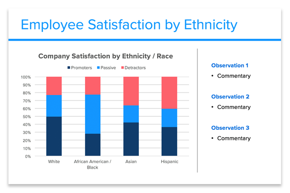 Workplace Diversity Reporting Template